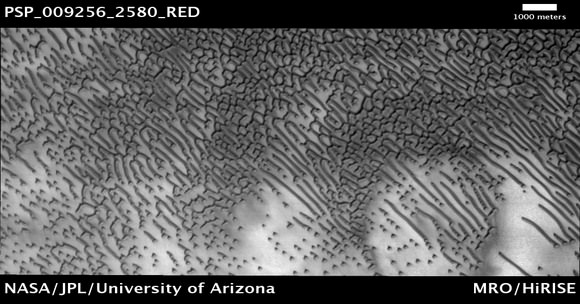 Mars northern dunes. Credit: NASA/JPL/University of Arizona