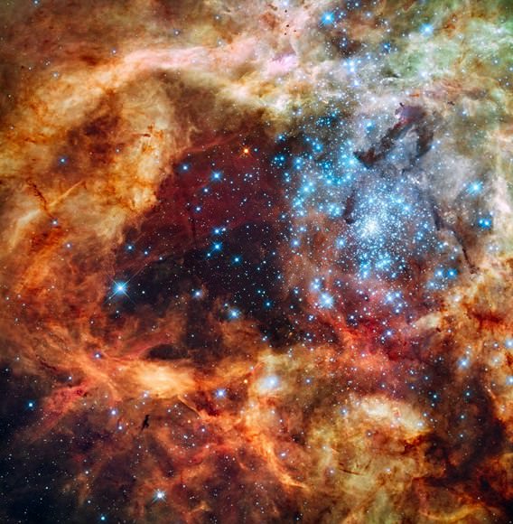 This is a Hubble image of the star cluster R136 at the heart of the Tarantula Nebula. It's a starburst region that's home to several extremely massive stars, including R136a1, which is almost 200 times more massive than the Sun. Image Credit: By NASA, ESA, F. Paresce (INAF-IASF, Bologna, Italy), R. O'Connell (University of Virginia, Charlottesville), and the Wide Field Camera 3 Science Oversight Committee 
