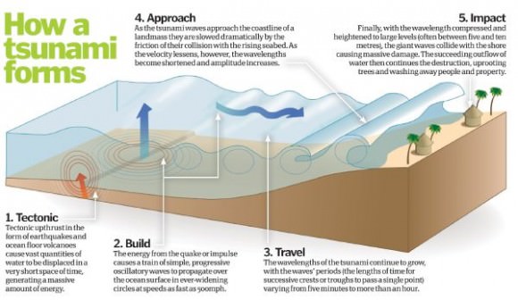 Tsunamis initiate when an earthquake causes the seabed to rupture, which leads to a rapid decrease in sea surface height directly above it. Credit: howitworksdaily.com 