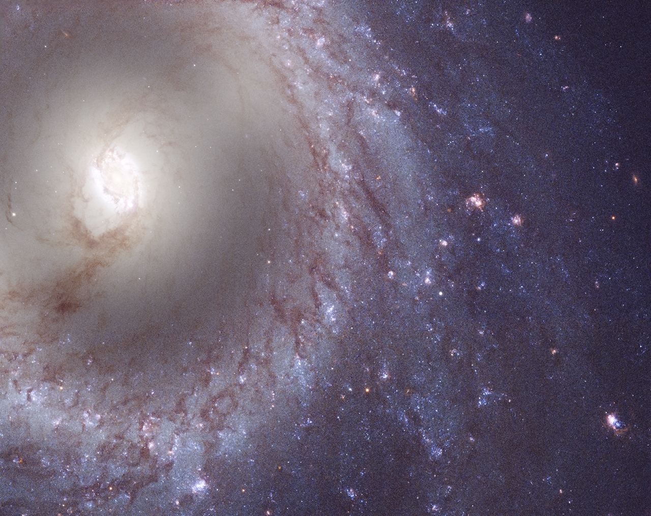 the NGC 3351 Barred Spiral Galaxy