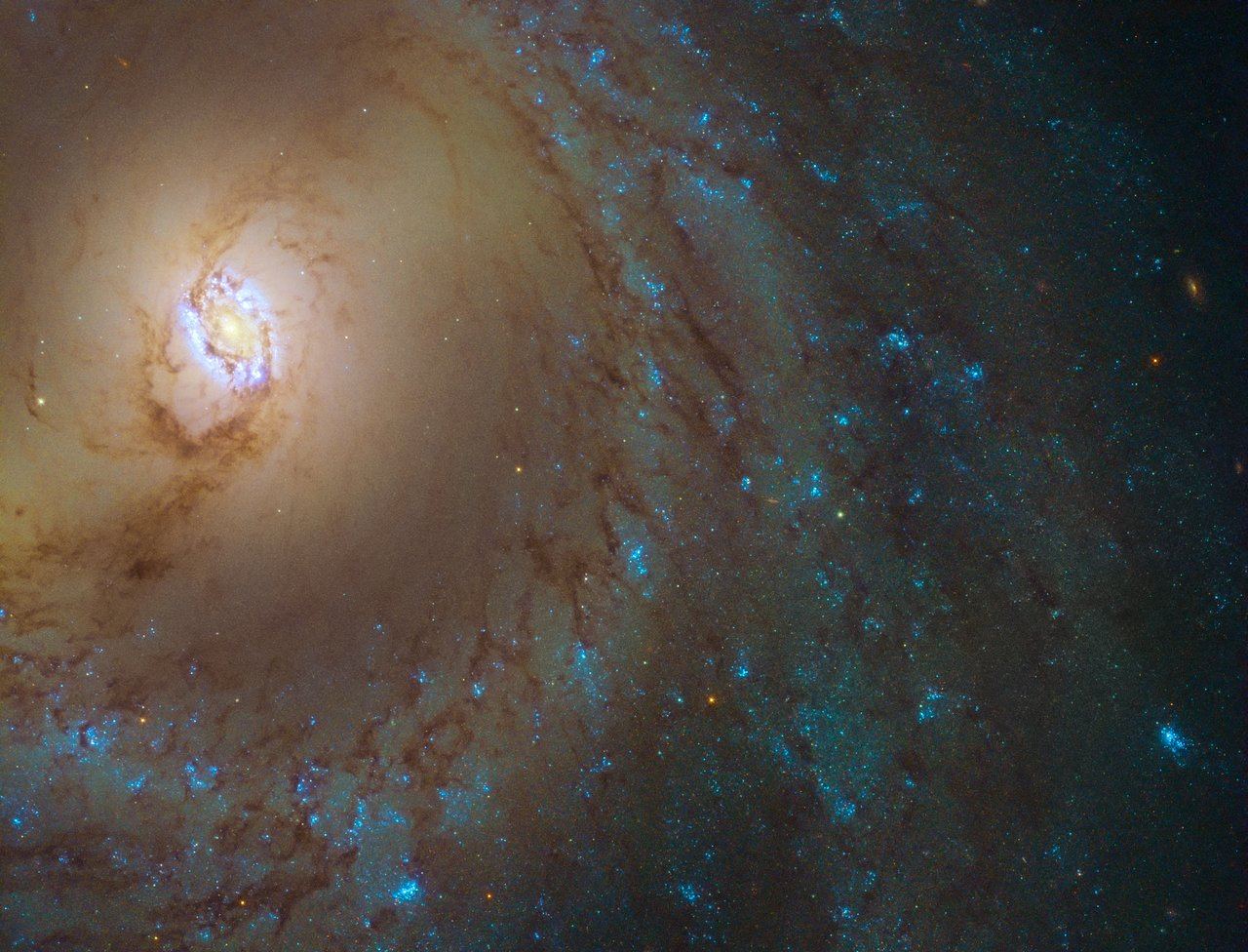 The Milky Way has an Inner Ring, Just Outside the Core