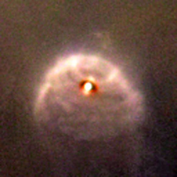 One of 42 new proplyds discovered in the Orion Nebula, 181-825 is one of the bright proplyds that lies relatively close to the nebula’s brightest star, Theta 1 Orionis C. Resembling a tiny jellyfish, this proplyd is surrounded by a shock wave that is caused by stellar wind from the massive Theta 1 Orionis C interacting with gas in the nebula.  Credit: NASA/ESA and L. Ricci (ESO)