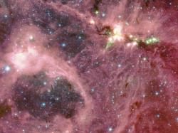Astronomers caught a glimpse of a future star just as it is being born out of the surrounding gas and dust, in a star-forming region similar to the one pictured above. (Spitzer Space Telescope image of DR21 in Infrared) Credit: A. Marston (ESTEC/ESA) et al., JPL, Caltech, NASA
