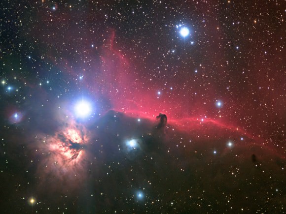 Orion's Horsehead Nebula Credit & Copyright Ryan Steinberg & Family, Adam Block, NOAO, AURA, NSF