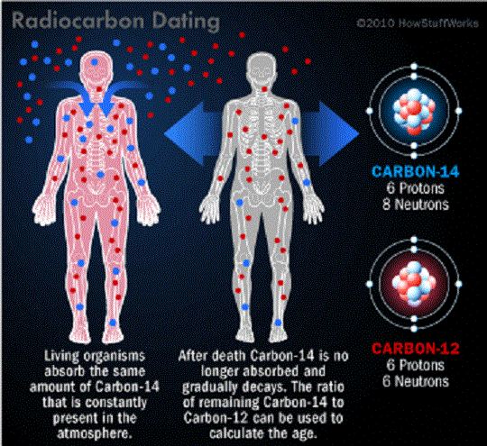 Diagram showing how radiocarbon dating works. Credit: howstuffworks.com