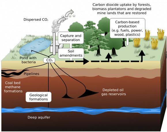 Schematic showing both terrestrial and geological sequestration of carbon dioxide emissions from a coal-fired plant. Credit: web.ornl.gov