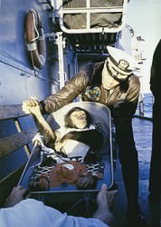 Chimps in Space