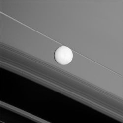 Enceladus, backdropped by Saturn's rings. Credit: NASA/JPL/ Space Science Institute. 