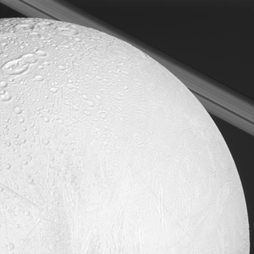 A close look at Enceladus, with Saturn's rings in the background. Credit: NASA/JPL/Space Science Institute 