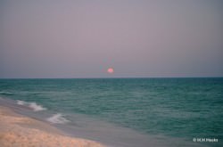 The Moon over Gulf Islands National Seashore near Navarre Beach, Florida. Credit: Mindi Meeks.  