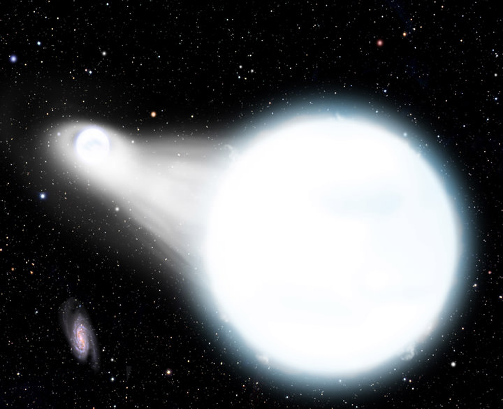 An illustration of two white dwarfs on the brink of a merger. Material is starting to stream from one star to the other, beginning the process that may end with a spectacular supernova explosion. Credit: David A. Aguilar (CfA)
