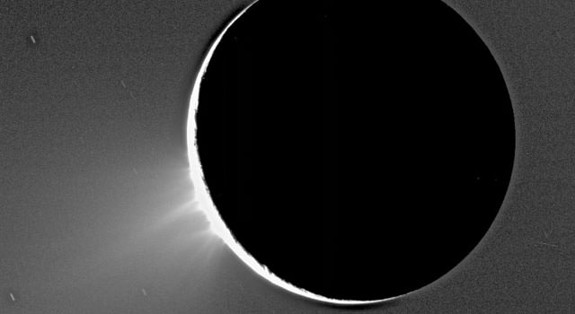 Cassini images of Saturn's moon Enceladus backlit by the sun show the fountain-like sources of the fine spray of material that towers over the south polar region. This image was taken looking more or less broadside at the "tiger stripe" fractures observed in earlier Enceladus images. It shows discrete plumes of a variety of apparent sizes above the limb (edge) of the moon. This image was acquired on Nov. 27, 2005.   Image Credit:   NASA/JPL/Space Science Institute