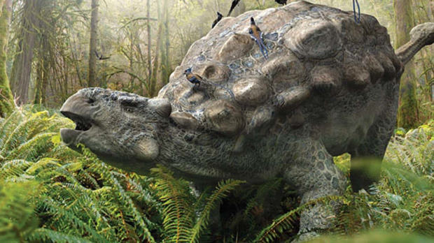 Ankylosaur Attack by Daniel Loxton