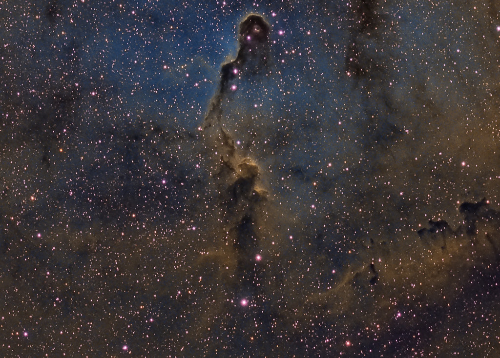 Astrophoto: IC 1396 by John R. Taylor