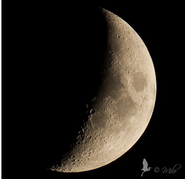 This photo of the Moon was taken on October 2, 2011 in Angera, Lombardy, IT. Credit: Milo. Click image to see on Flickr.