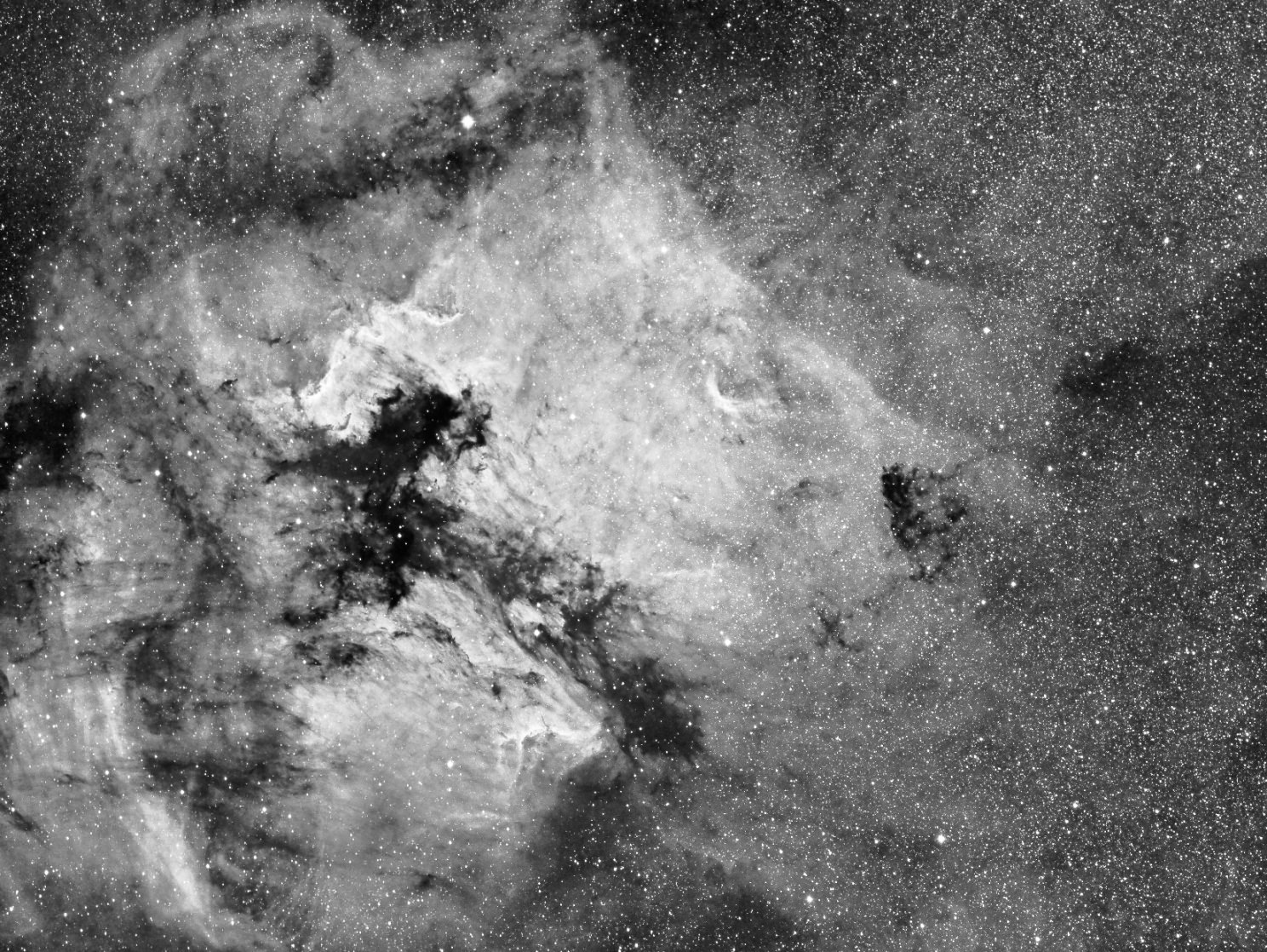 Astrophoto: North American Nebula in Ha by Carl Larson