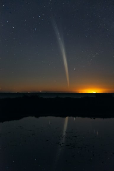Another Stunning Image Of Comet Lovejoy By Colin Legg Universe Today