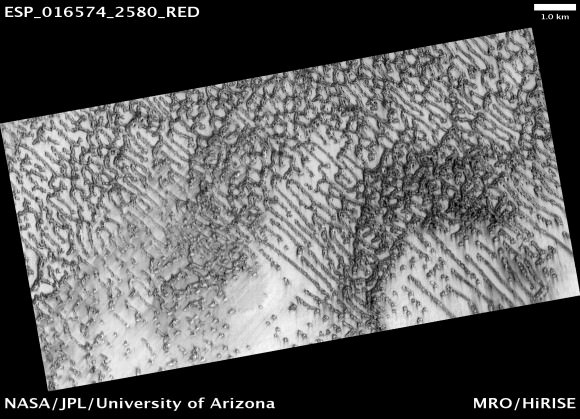 A huge field of linear dunes with seasonal frost. Credit: NASA/JPL/University of Arizona