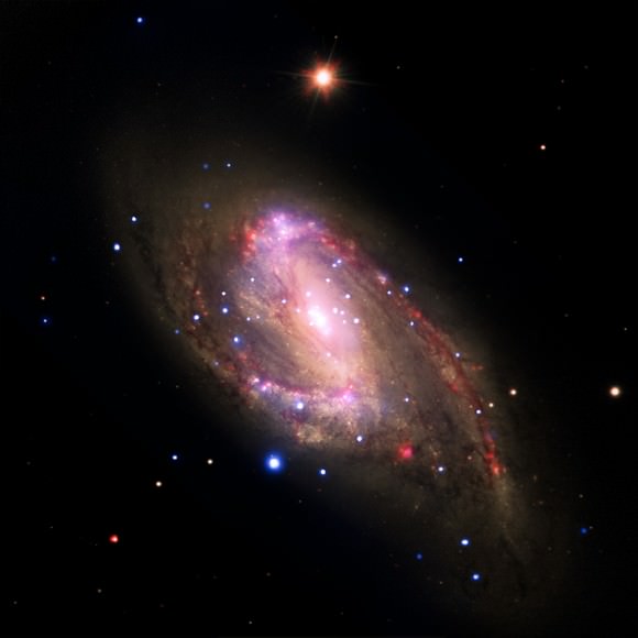This multiwavelength image of the galaxy NGC 3627 contains X-rays from Chandra (blue), infrared data from Spitzer (red), and optical data from Hubble and the Very Large Telescope (yellow).  Astronomers conducted a survey of 62 galaxies, which included NGC 3627, to study the supermassive black holes at their centers.  Among this sample, 37 galaxies with X-ray sources are supermassive black hole candidates, and seven were not previously known. Confirming previous Chandra results, this study finds the fraction of galaxies hosting supermassive black holes is much higher than in optical searches for black holes that are relatively inactive.