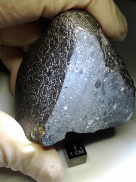 Meteorites from Mars, like NWA 7034 (shown here), contain evidence of Mars' watery past. Credit: NASA