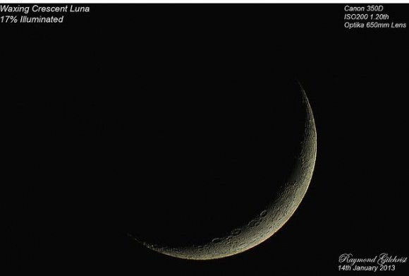 Luna, January 14, 2013. Credit: Raymond Gilchrist