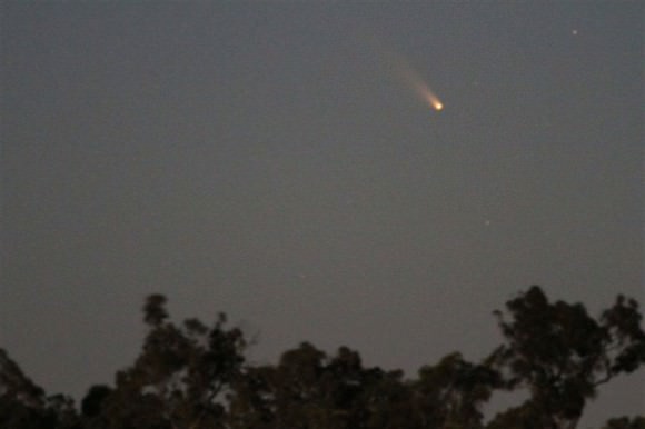 Comet L4 PANSTARRS low in the western sky over Western Australia Feb. 27, 2013. Details: 400mm lens