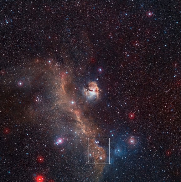 Wide-field view of the entire Seagull Nebula (IC 2177)