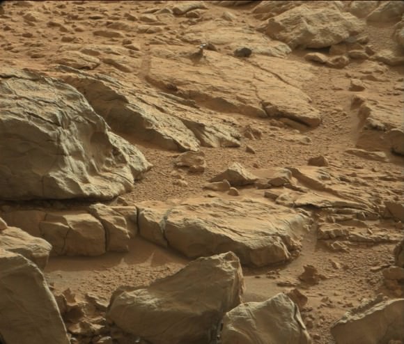 A shiny-looking Martian rock is visible in this image taken by NASA's Mars rover Curiosity's Mast Camera (Mastcam) during the mission's 173rd Martian day, or sol (Jan. 30, 2013). Image Credit: NASA/JPL-Caltech/Malin Space Science Systems.
