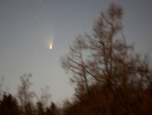 Comet PANSTARRS on March 22 photographed with a 200mm lens at dusk on a motorized tracking platform. Credit: Bob King