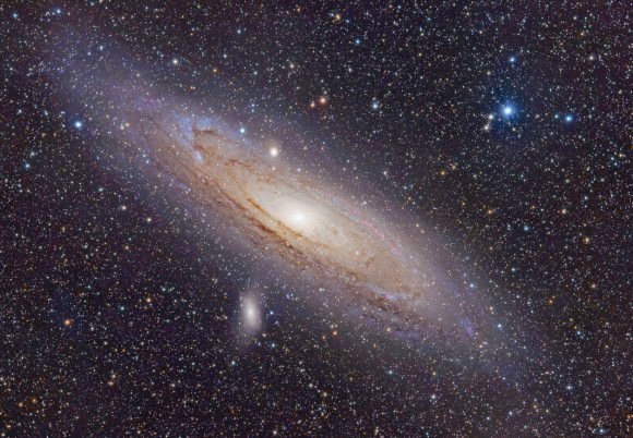 The Andromeda Galaxy is the closest large galaxy to our Milky Way. It's easily visible in binoculars in the constellation Andromeda. Credit: Adam Evans