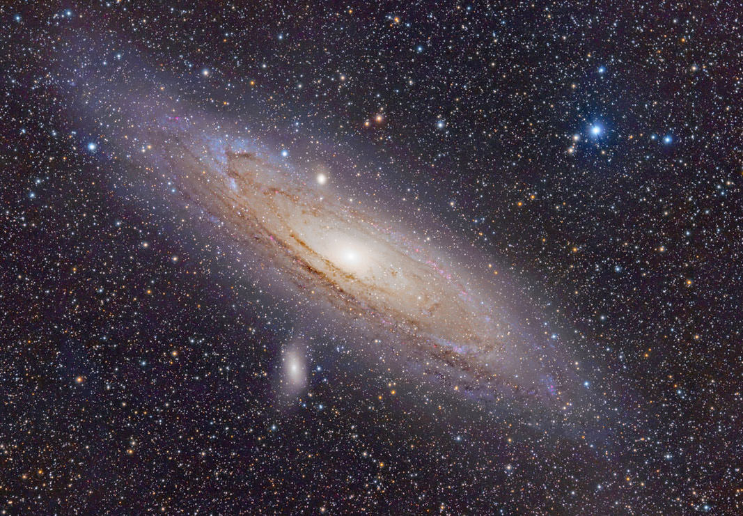 Disorderly Conduct: Andromeda's Mature Stars Exhibit Surprising