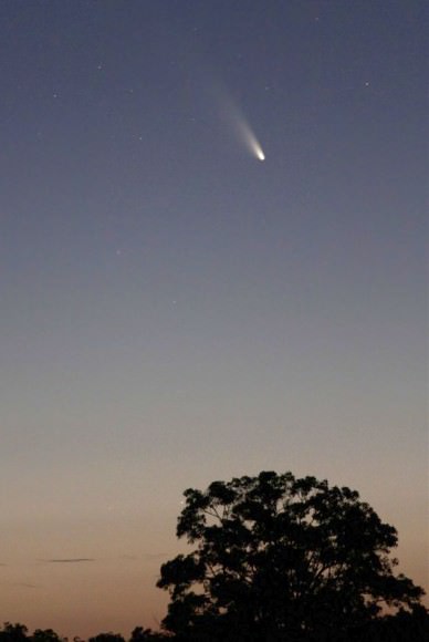 Comet C/2011 L4 PANSTARRS photographed with a 200mm telephoto lens over Bridgetown, Western Australia on March 3. Credit: Jim Gifford