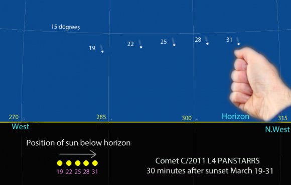 Use this map to find Comet PANSTARRS now through March 31. It depicts the sky facing west-northwest 30 minutes after sunset. The comet’s height remains fairly steady at about 10-14 degrees but it moves steadily northward (to the right). The yellow circles represent the sun’s position every 3 days. It also moves northward but more slowly. One fist equals about 10 degrees of sky. Created with Chris Marriott’s SkyMap software