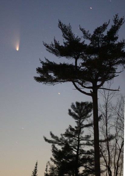 Comet PANSTARRS last night March 19, 2013 in a setting with white pines. Details: 300mm lens, f/2.8, ISO 800 and 3-second exposure. Credit: Bob King