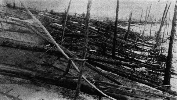 The Tungunska impactor is thought to have felled millions of trees in Siberia in 1908 (image credit: Kulik).