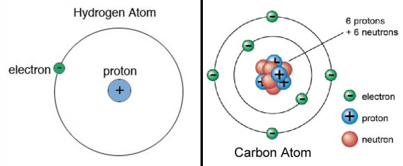 Atoms are made of protons, neutrons and orbiting electrons. The number of protons in atom's nucleus makes it unique from all the others. Hydrogen, the simplest element, has one while carbon has six. 