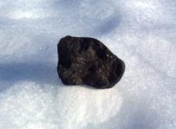 A 3.5-cm chondrite meteorite found in Antarctica in Nov. 1998. Dark meteorites show up well against the icy terrain of Antarctica. (Carnegie Mellon University) 