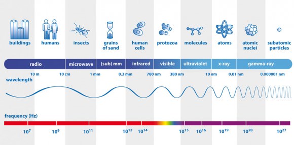 The visible colors, infrared, radio, X-rays and gamma rays are all forms of light and comprise the electromagnetic spectrum. Here you can compare their wavelengths with familiar objects and see how their frequencies (bottom numbers) increase with decreasing wavelength. Credit: ESA