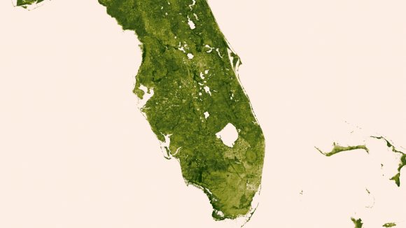 The Florida Everglades: March 18-24, 2013. The "river of grass" extending south of Lake Okeechobee shows clear signs of its modified state with areas of dense agriculture, urban sprawl and water conservation areas delineated by a series of waterways that crisscross Southern Florida.  Credit: NOAA/NASA