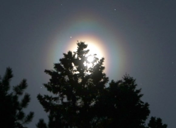 Most halos are circular but pollen halos like this one around the moon often have unusual shapes like this oval with bulging sides and top. Credit: Bob King