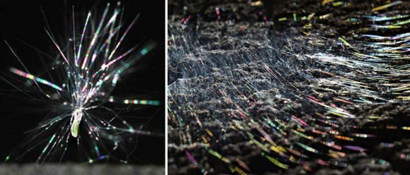 A single aspen seed (left) only about 1 mm across embedded in a cottony fluff of tiny hairs. At right is a spider web. Both show colors  caused by bending and interference of light, a phenomenon called diffraction. Credit: Bob King (left) and Andrew Kirk