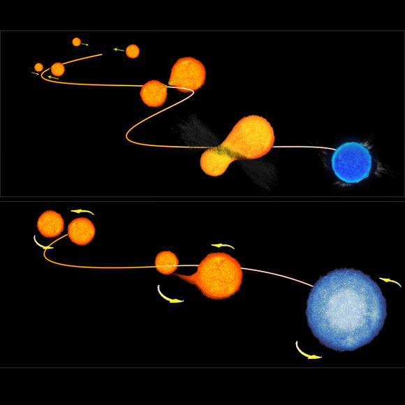 An artist's conception of how a blue straggler may form from a binary system. Credit:NASA/ESA