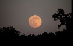 Full Moon Rising Over Northwest Georgia on June 22nd, 2013. Credit and copyright: Stephen Rahn. 