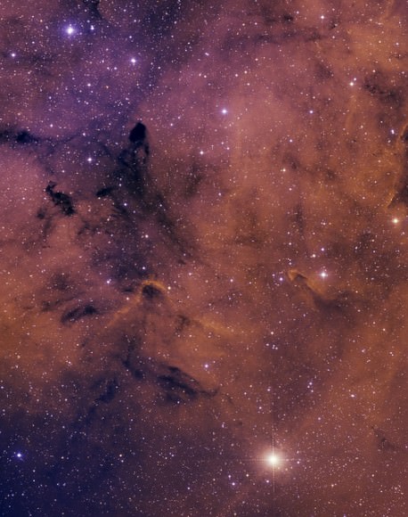 The field of Mu Cephei (bright star in the lower right of the frame) and the diffuse nebula IC1396. 