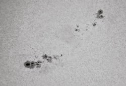 A black-and-white view of the string of sunspots facing Earth right now. Credit: Paul M. Hutchinson