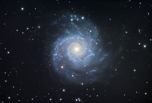 M74 is a classic spiral galaxy with arms that appear to unwind from a bright, star-packed nucleus. Located 32 million light years away in the constellation Pisces, M74 contains about 100 billion stars. The spiral arms are dotted with dense star clusters and pink clouds of fluorescing hydrogen gas. Credit: Jim Misti