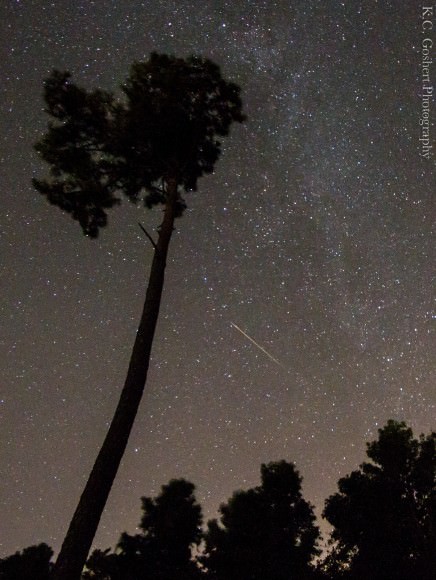 Perseid Meteor Shower and Milky Way image shot in Hampstead, North Carolina on a Canon 7D @10mm 30s f/4 ISO 2500.  Credit and copyright: K.C. Goshert.