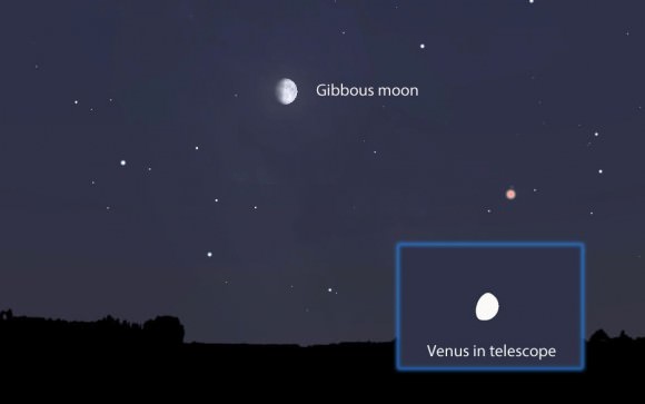 The moon and Venus are coincidentally in exactly the same phase tonight - 78% gibbous. Stellarium