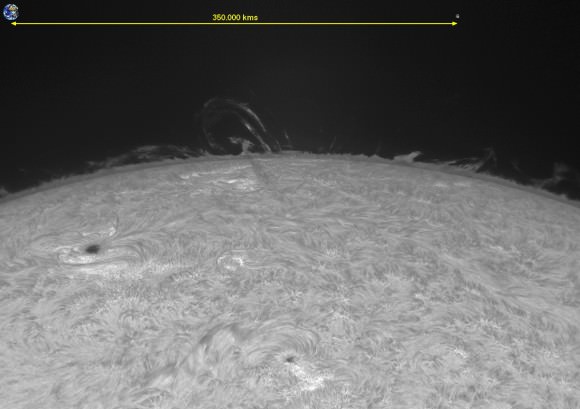 Size comparison of the looping prominences on the Sun on August 20, 2013. Credit and copyright: Michel Collart. 