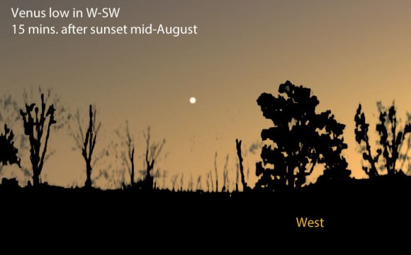 Look for the cloudy but beautiful planet about a fist up in the west-southwest shortly after sunset. Stellarium